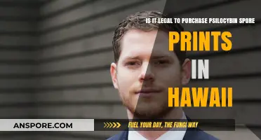 Is Buying Psilocybin Spore Prints Legal in Hawaii?