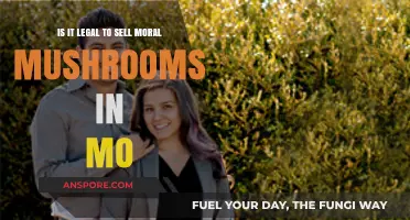 Selling Morels in Missouri: Legalities and Guidelines for Mushroom Enthusiasts