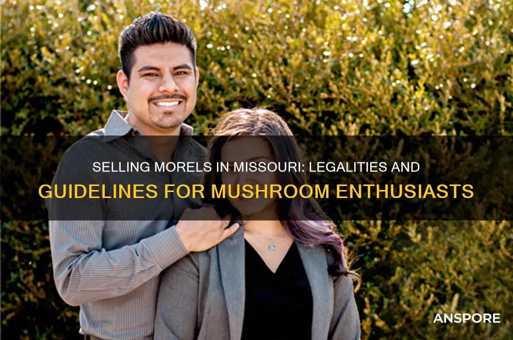 is it legal to sell moral mushrooms in mo