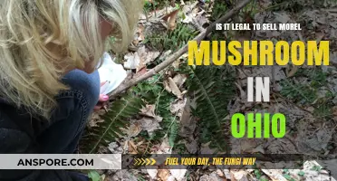 Selling Morel Mushrooms in Ohio: Legal Guidelines and Regulations Explained