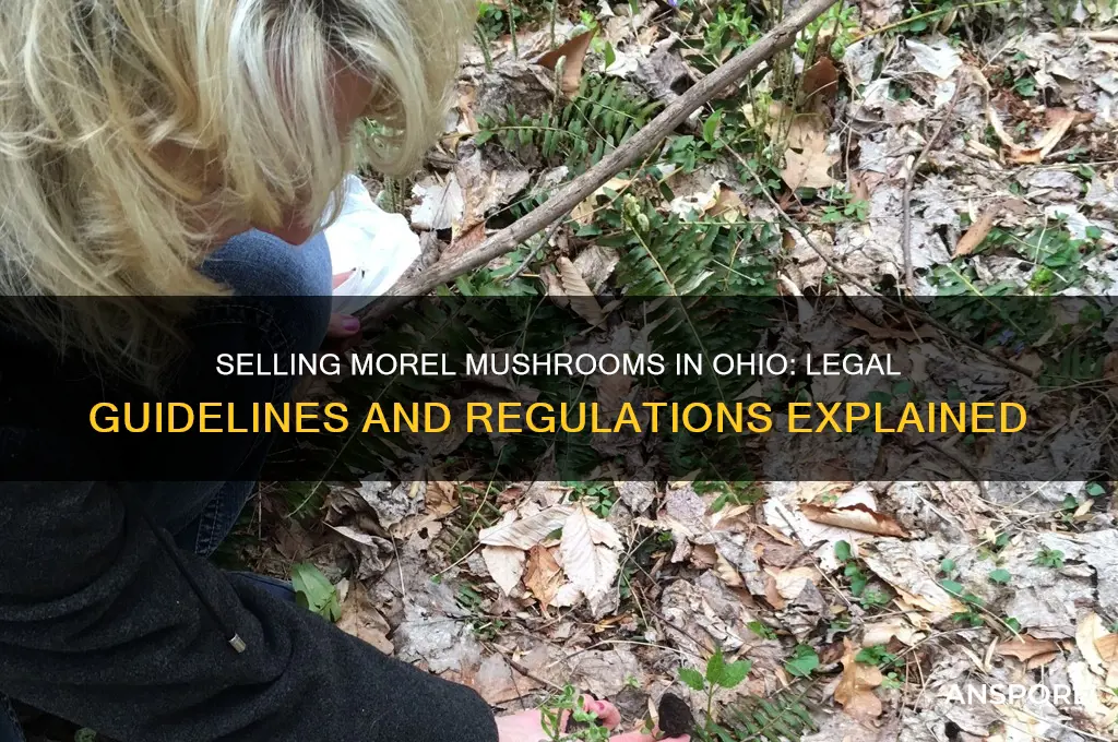 is it legal to sell morel mushrooms in ohio