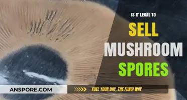 Selling Mushroom Spores: Legal or Illegal? Understanding the Law