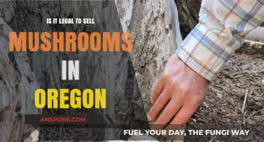 Selling Mushrooms in Oregon: Legalities and Regulations Explained
