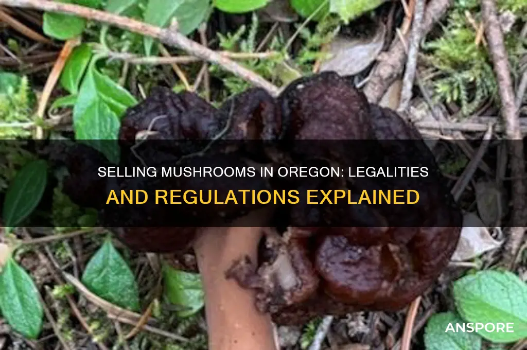is it legal to sell mushrooms in oregon