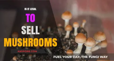 Selling Mushrooms Legally: Understanding the Laws and Regulations