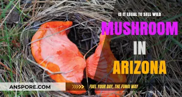 Selling Wild Mushrooms in Arizona: Legal or Illegal?