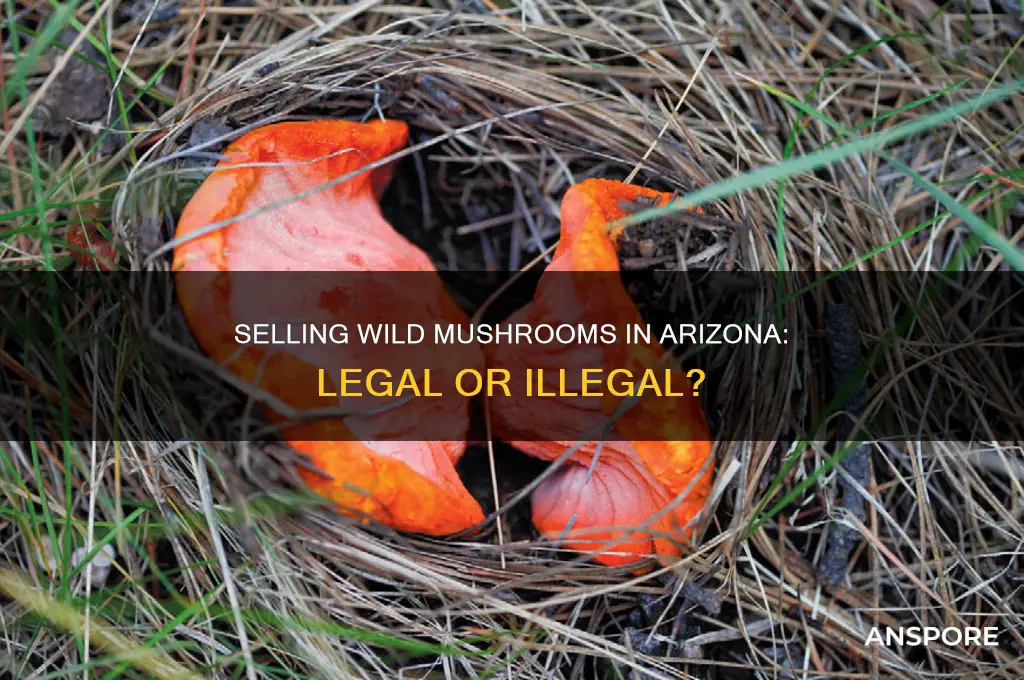 is it legal to sell wild mushrooms in arizona