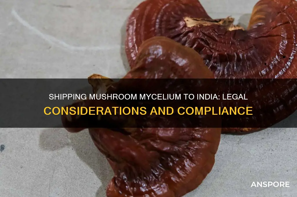 is it legal to send mushroom mycelium to india