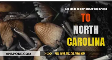 Shipping Mushroom Spores to North Carolina: Legal or Not?