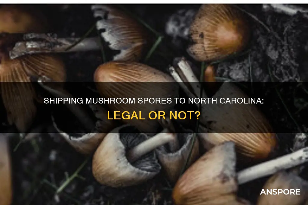 is it legal to ship mushroom spores to north carolina