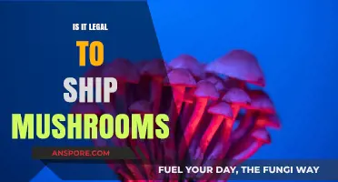 Shipping Mushrooms: Legal Guidelines and Restrictions Explained
