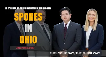 Shipping Psychedelic Mushroom Spores in Ohio: Legal or Illegal?