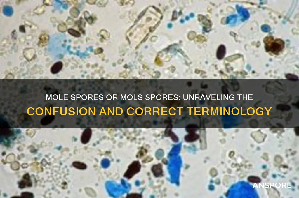 is it mole spores or mols spores