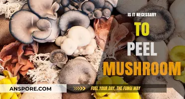 To Peel or Not: The Mushroom Skin Debate Explored