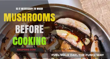 Should You Wash Mushrooms Before Cooking? Expert Tips and Advice