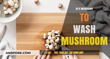 Should You Wash Mushrooms? The Truth About Cleaning Fungi