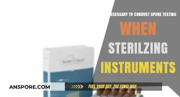 Is Spore Testing Essential for Instrument Sterilization? Key Insights
