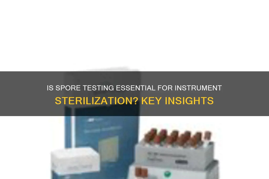 is it nesessary to conduct spore testing when sterilzing instruments
