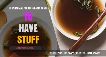 Is Mushroom Broth Supposed to Have Floating Bits? Explained