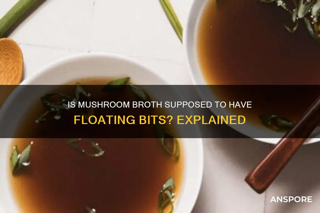 is it normal for mushroom broth to have stuff