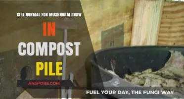Mushrooms in Compost: Normal Growth or Cause for Concern?