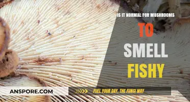 Fishy Mushrooms: Understanding Unusual Aromas in Fungal Growth