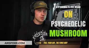 Exploring the Mind: Are Psychedelic Mushroom Experiences Normal?