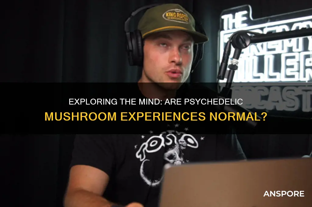 is it normal to feel insane on psychedelic mushrooms
