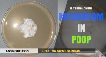 Mushrooms in Poop: Should You Be Concerned or Is It Normal?
