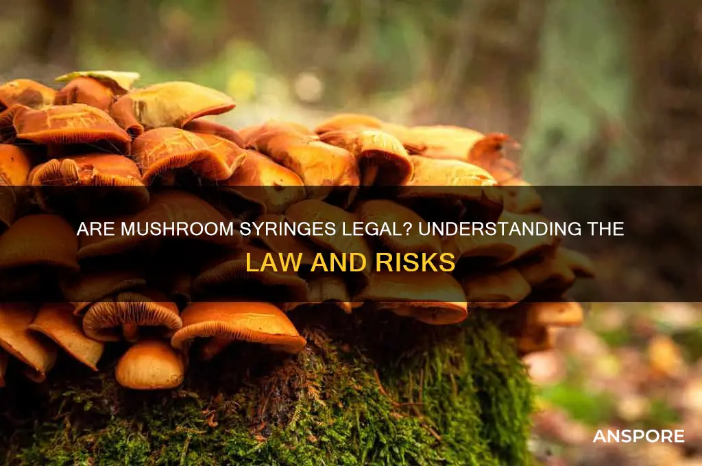 is it not illegal to by mushroom syringes