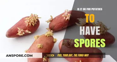 Are Potato Spores Safe? Understanding Natural Growth on Potatoes