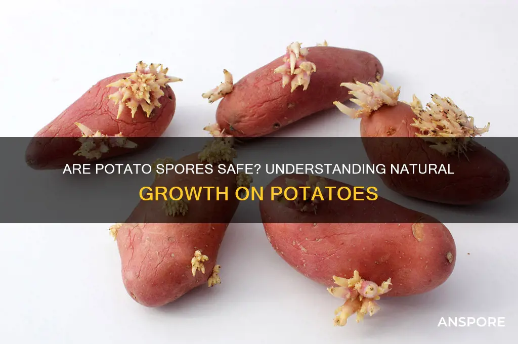 is it ok for potatoes to have spores