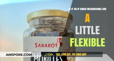 Flexible Dried Mushrooms: Safe or Spoiled? Expert Insights Revealed