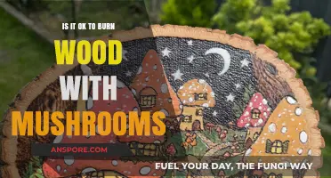 Burning Wood with Mushrooms: Safe Practice or Risky Move?