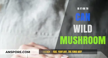 Can You Safely Can Wild Mushrooms? Risks and Best Practices