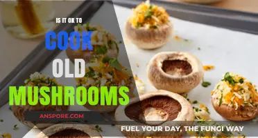 Cooking Old Mushrooms: Safe or Spoiled? A Culinary Guide