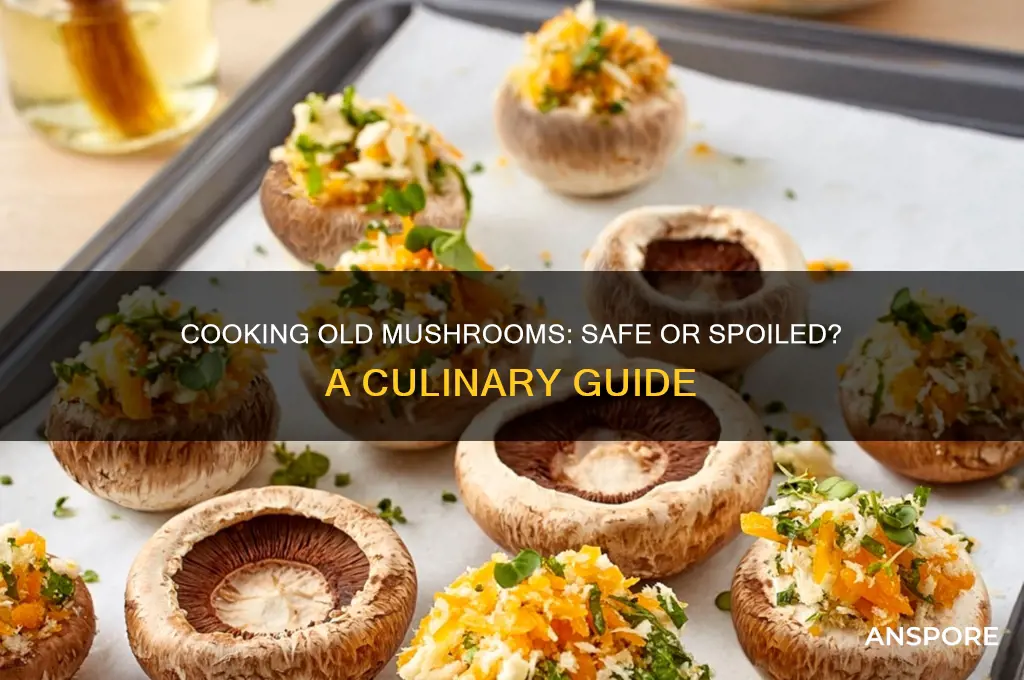 is it ok to cook old mushrooms