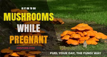 Pregnancy and Psilocybin: Exploring the Risks of Mushrooms While Expecting