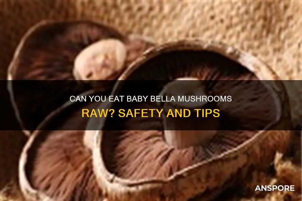 is it ok to eat baby bella mushrooms raw