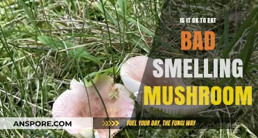 Should You Eat Mushrooms with a Foul Odor? Risks Explained