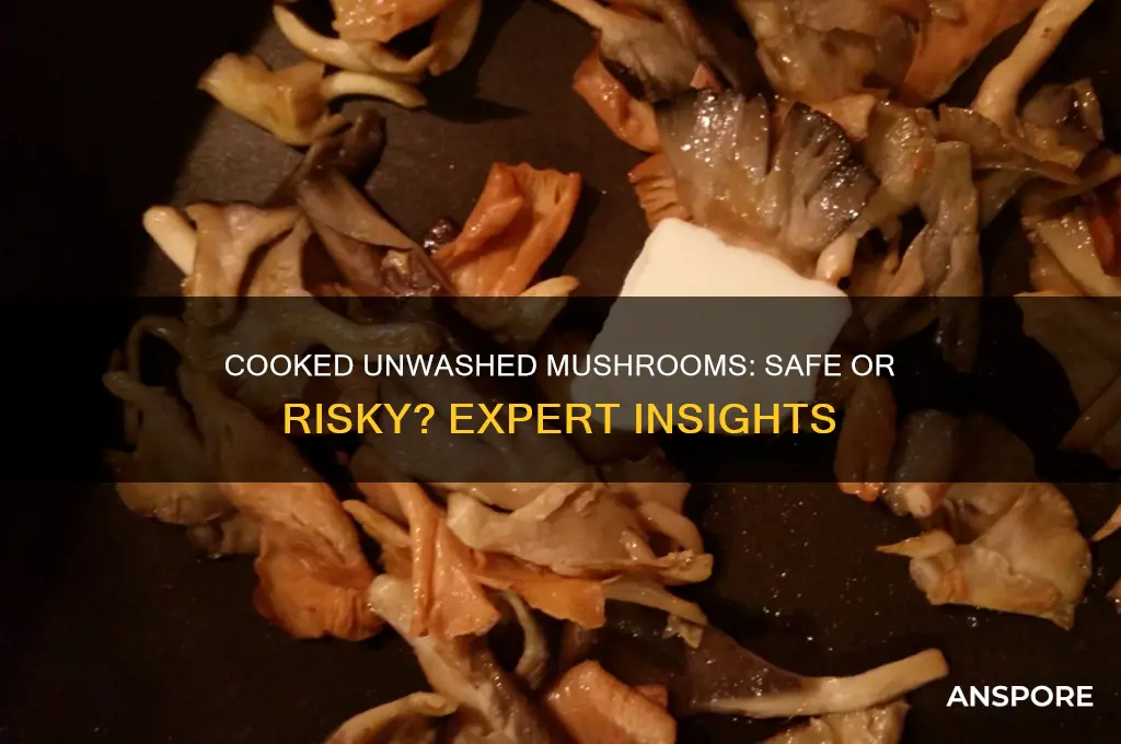 is it ok to eat cooked unwashes mushrooms