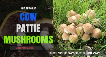 Are Cow Pattie Mushrooms Safe to Eat? A Fungal Food Guide