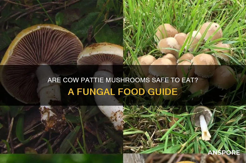 is it ok to eat cow pattie mushrooms