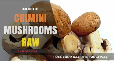 Can You Eat Crimini Mushrooms Raw? Safety and Tips Explained