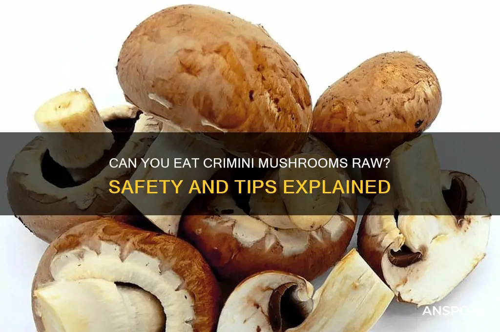 is it ok to eat crimini mushrooms raw