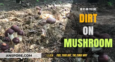 Eating Dirt on Mushrooms: Safe Practice or Harmful Habit?