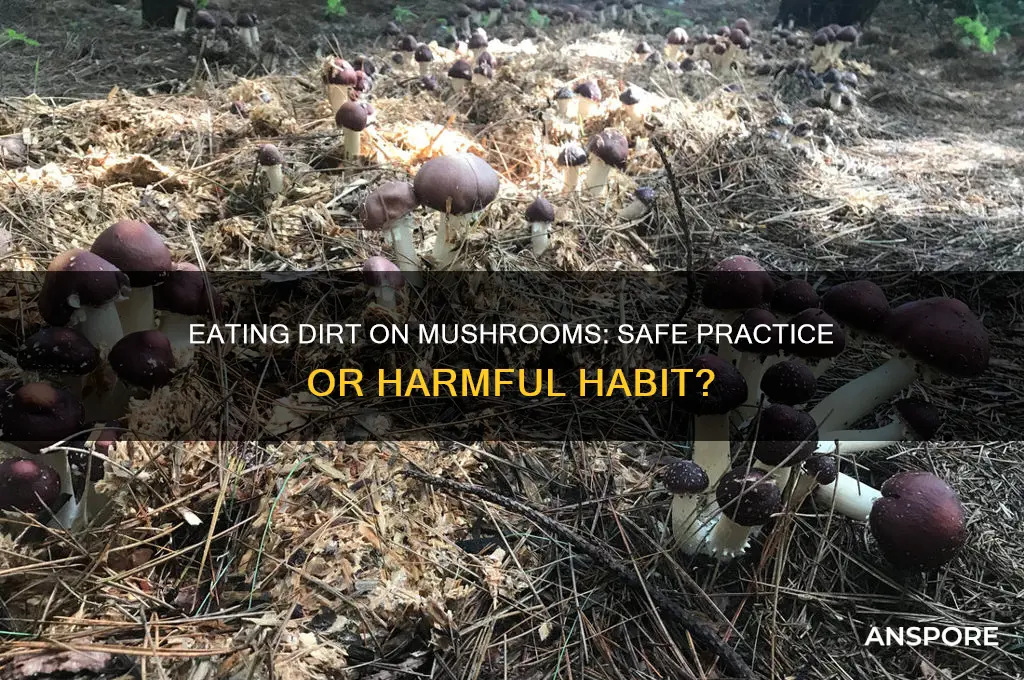 is it ok to eat dirt on mushrooms