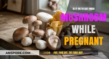 Pregnancy and Fried Mushrooms: Safe or Risky Choice?