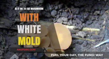 White Mold on Mushrooms: Safe to Eat or Toss?