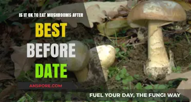 Can You Safely Eat Mushrooms Past Their Best Before Date?
